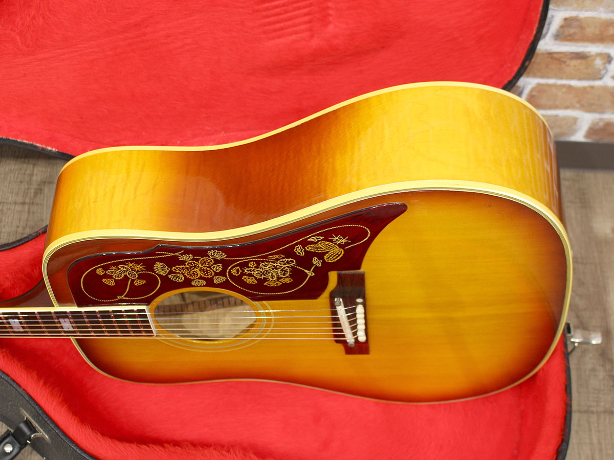 Epiphone 1964 FT110 Frontier